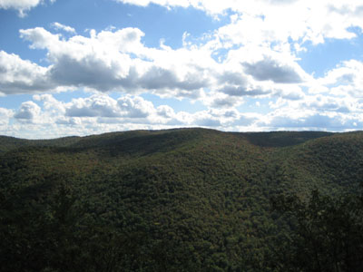 Week 39 of the year in Massachusetts