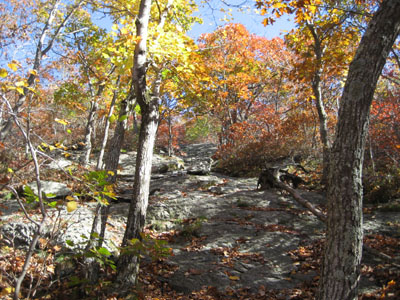 Week 42 of the year in Massachusetts