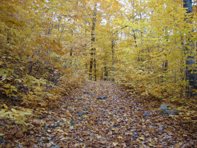 Week 43 of the year in Maine