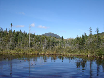 Week 38 of the year in New Hampshire
